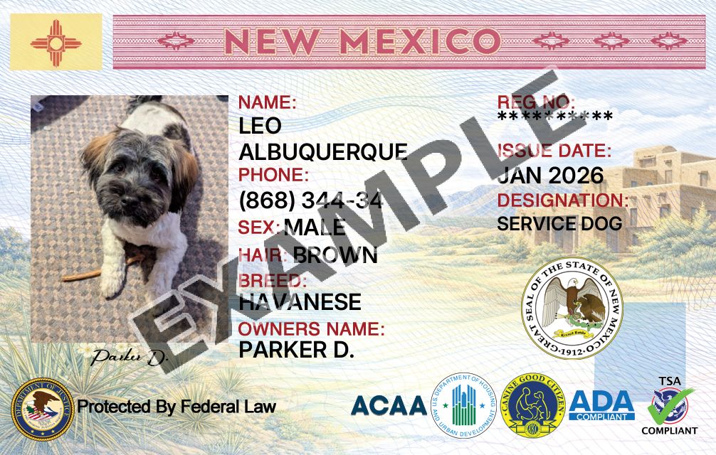 New Mexico